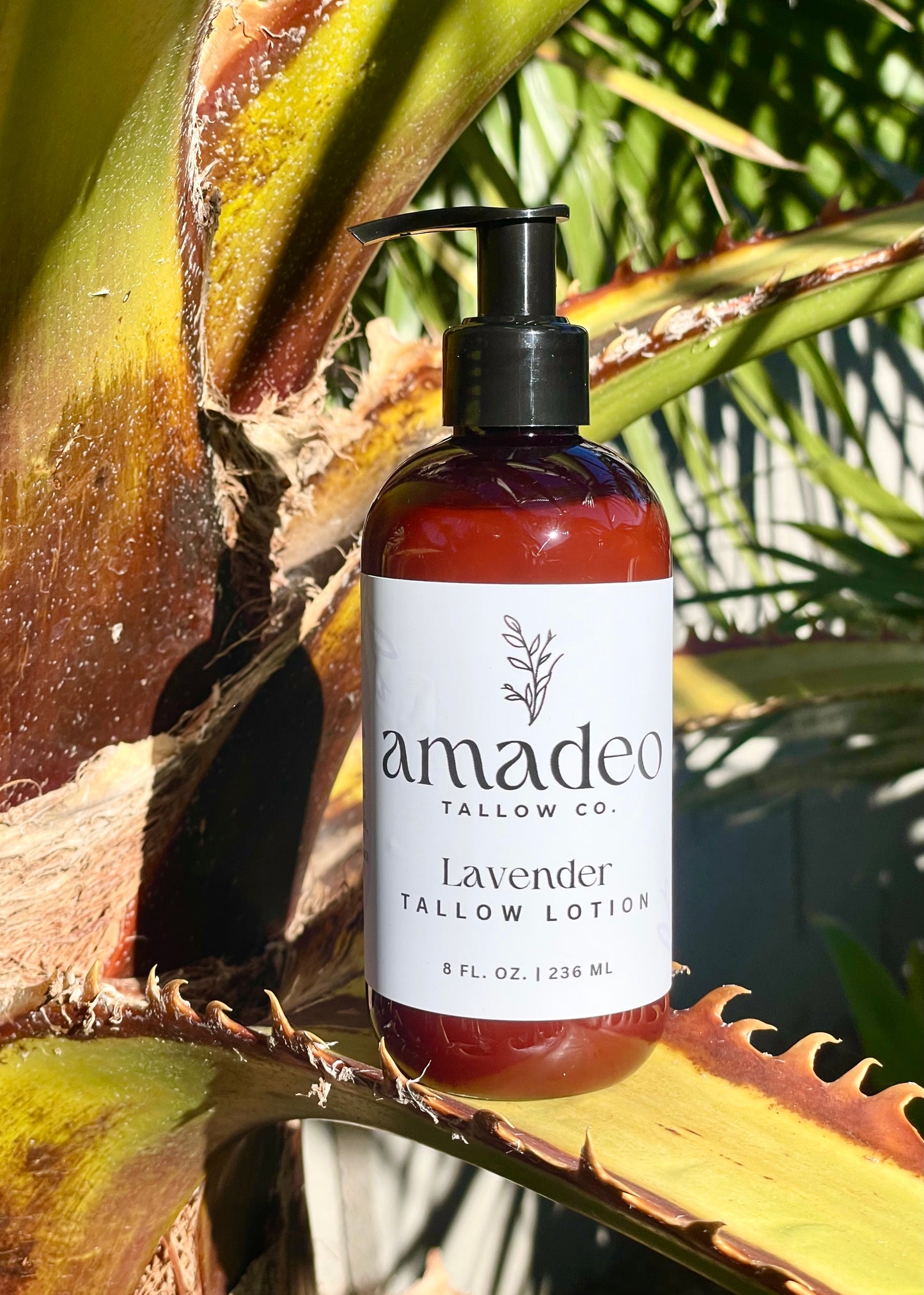 Lavender Tallow Lotion