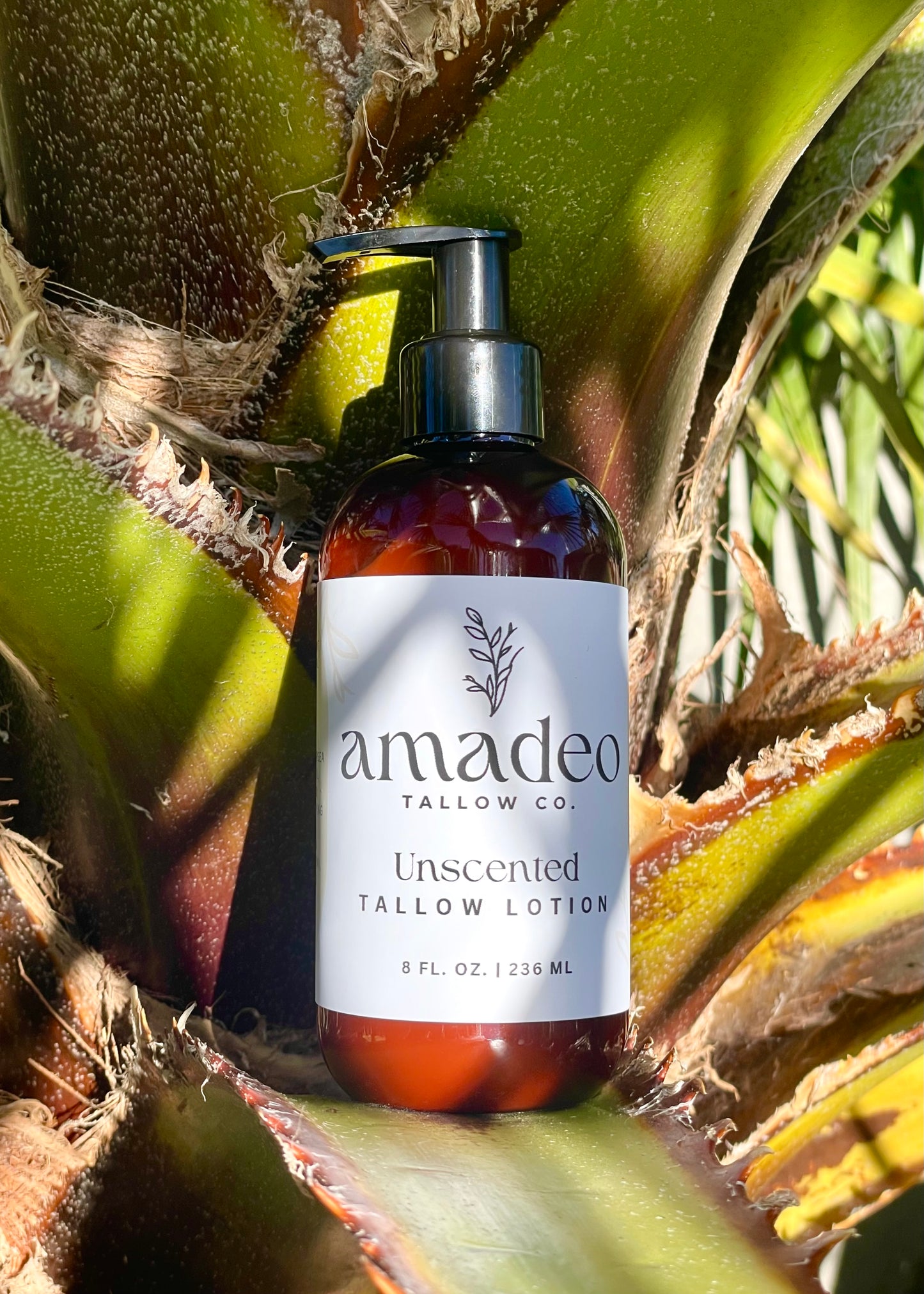 Unscented Tallow Lotion