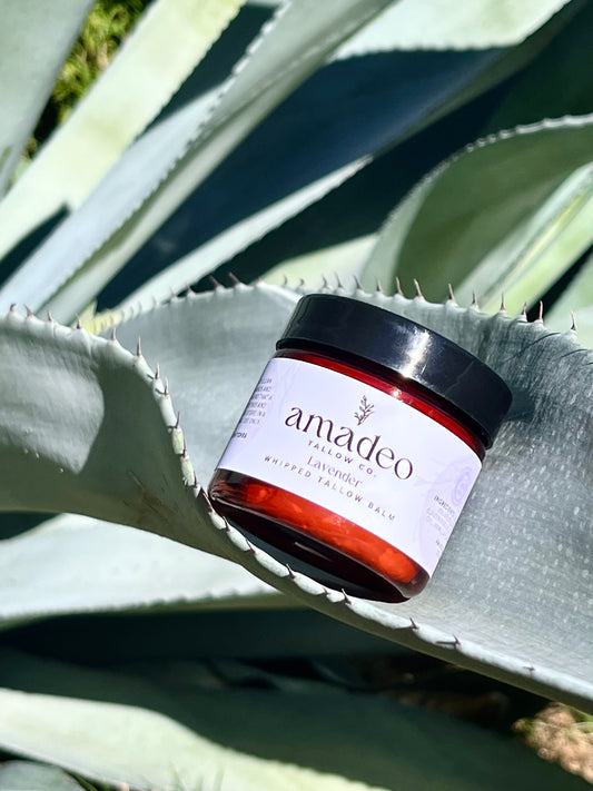 Lavender Whipped Tallow Balm